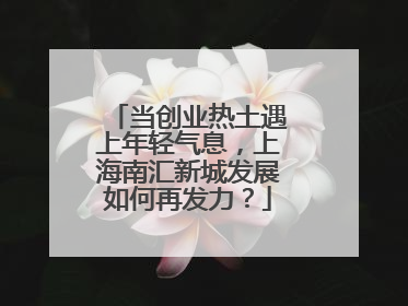 当创业热土遇上年轻气息，上海南汇新城发展如何再发力？